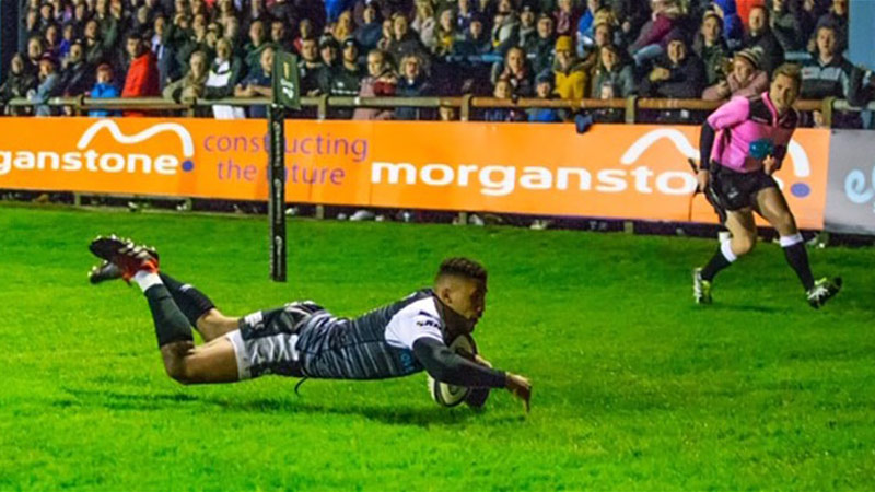 Ospreys to return to Morganstone Brewery Field